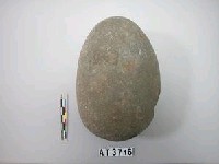 藏品(石錘)的圖片